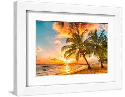 Beautiful Sunset over the Sea with a View at Palms on the White Beach on a Caribbean Island of Barb - White Framed Art Print Wall Art, 12x8