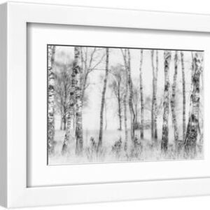Black and White - White Framed Art Print Wall Art, 12x8