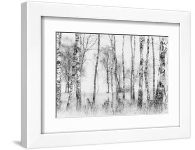 Black and White - White Framed Art Print Wall Art, 12x8