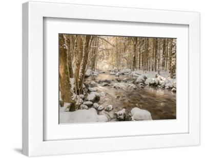 Stolen Beauty - White Framed Art Print Wall Art, 12x8