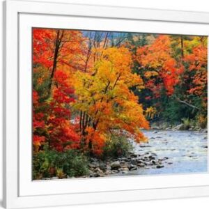 Stream in Autumn Woods - White Framed Art Print Wall Art, 32x24