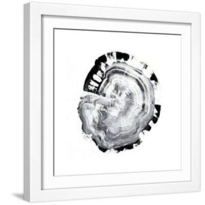 Tree Ring Abstract III - White Framed Art Print Wall Art, 16x16