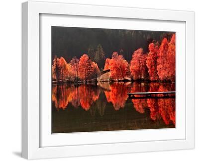 Trees Vs Trees - White Framed Art Print Wall Art, 16x12