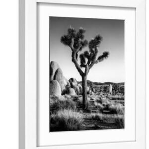 USA, California, Joshua Tree National Park at Hidden Valley - White Framed Art Print Wall Art, 9x12
