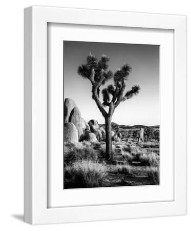 USA, California, Joshua Tree National Park at Hidden Valley - White Framed Art Print Wall Art, 9x12
