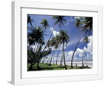 View of Manzanilla Bay, Port of Spain, Trinidad, Caribbean - White Framed Art Print Wall Art, 16x12