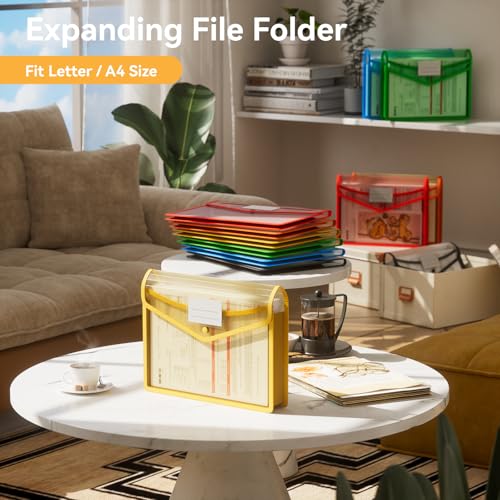 ABC life 6 Pack Plastic Expanding File Folder, Folders for Documents with Snap Closure, Colorful File Folder Organizer Holder, Transparent... ABC life 6 Pack Plastic Expanding File Folder, Folders for Documents with Snap Closure, Colorful File Folder Organizer Holder, Transparent...
