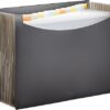 Amazon Basics Expanding Accordion File Organizer, Letter Size, 13 Compartments, Large Capacity Document Storage, Waterproof, Black, 1-Pack Amazon Basics Expanding Accordion File Organizer, Letter Size, 13 Compartments, Large Capacity Document Storage, Waterproof, Black, 1-Pack