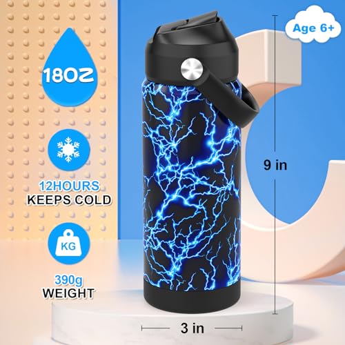 Boys Water Bottle with Straw,18 oz Kids Insulated Cups with Stainless Steel Leak Proof for School,Sport&Travel(Lightning) Boys Water Bottle with Straw,18 oz Kids Insulated Cups with Stainless Steel Leak Proof for School,Sport&Travel(Lightning)
