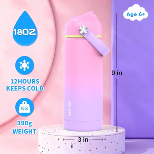 Kids Water Bottle for School,Girls 18 oz Insulated Stainless Steel Cup with Straw, Double-Wall Vacuum Leakproof(2Pcs,Pink+Purple) Kids Water Bottle for School,Girls 18 oz Insulated Stainless Steel Cup with Straw, Double-Wall Vacuum Leakproof(2Pcs,Pink+Purple)