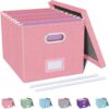 Oterri File Organizer, File Box, File Cabinet for Letter File Folder Storage, Portable Storage Bins with Lids for Office/Decor/Home, 1 Pack,...