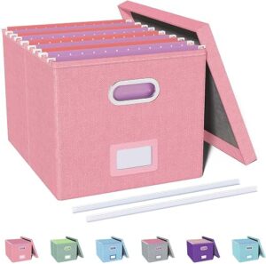 Oterri File Organizer, File Box, File Cabinet for Letter File Folder Storage, Portable Storage Bins with Lids for Office/Decor/Home, 1 Pack,...