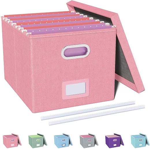 Oterri File Organizer, File Box, File Cabinet for Letter File Folder Storage, Portable Storage Bins with Lids for Office/Decor/Home, 1 Pack,...