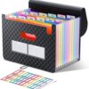 ThinkTex Accordion File Organizer, 12 - Pocket Expanding File Folders for Paper Receipts, Bills & Taxes Organizer, Portable Letter/A4 Size Document...